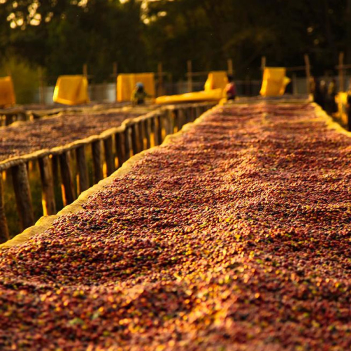 Sidamo, Ethiopia, 250Gr.