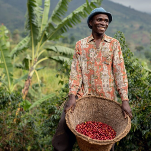 BREW Uganda Mt. Rwenzori